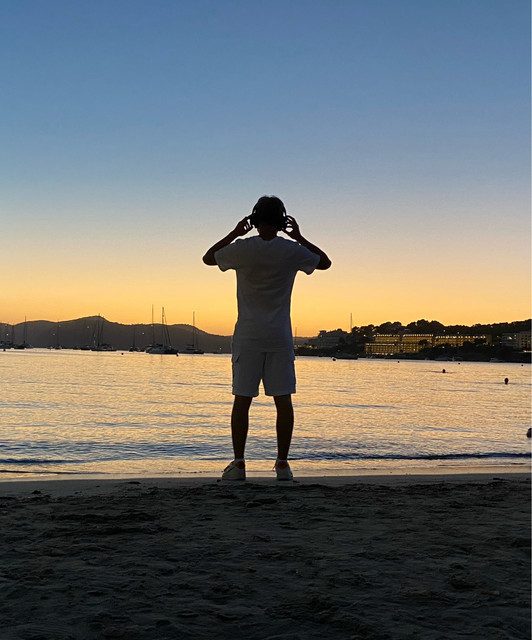 SHDE stood over the beach looking out into the sunset